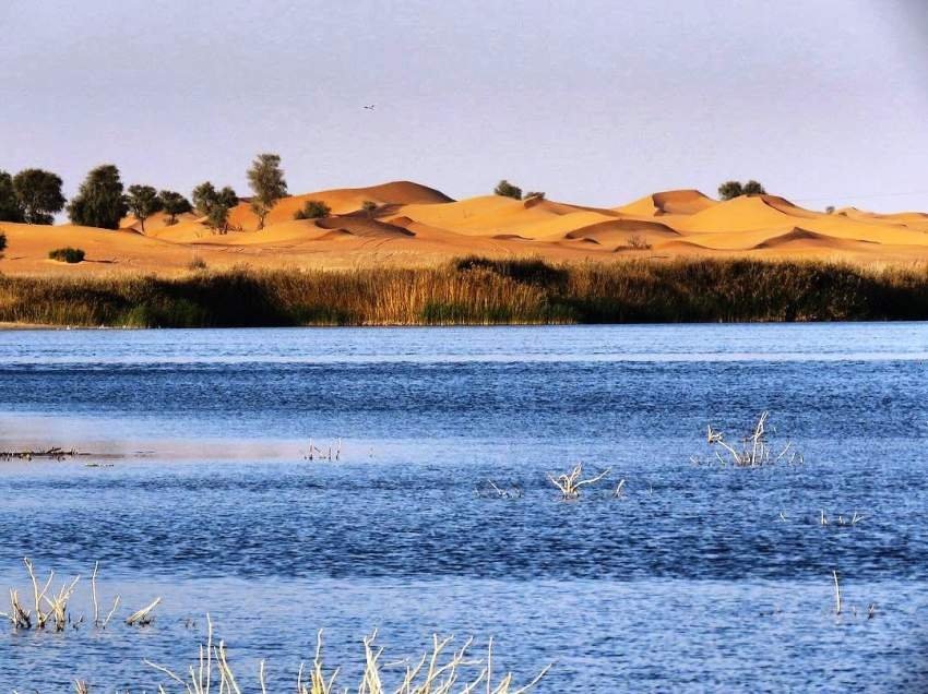 معلومات عن زاخر