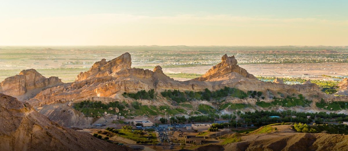 معلومات عن الهير العين