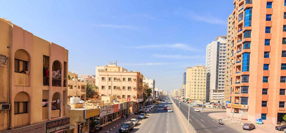 معلومات عن النعيمية 1