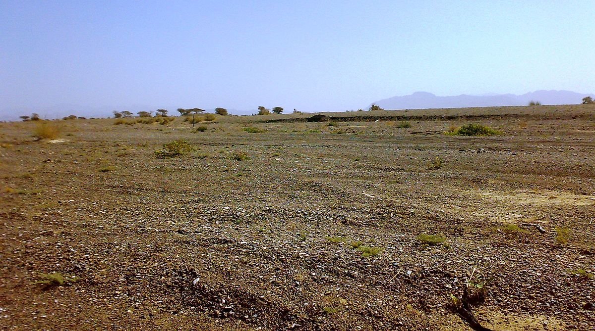 معلومات عن السهول 5