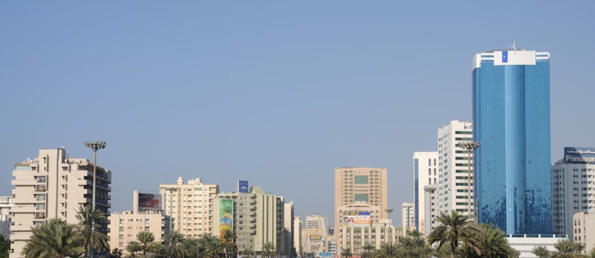 معلومات عن النوف