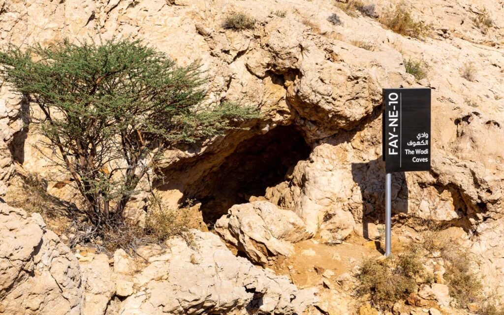 نبذة عن جبل الفاية