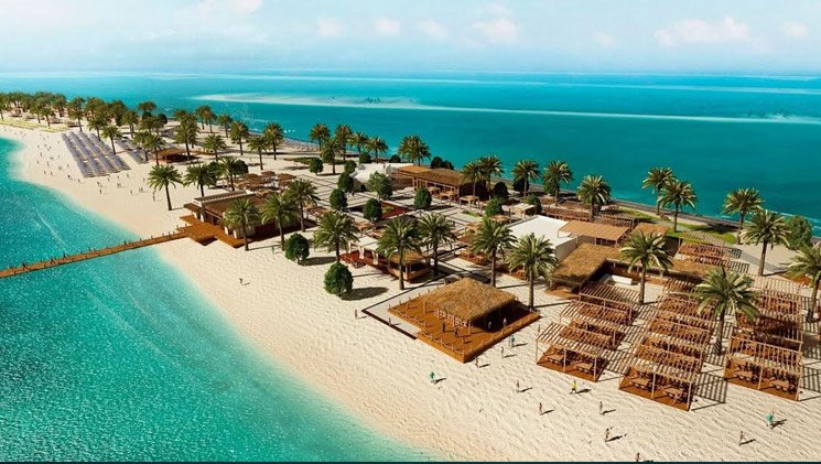 تاريخ جزيرة صير بني ياس