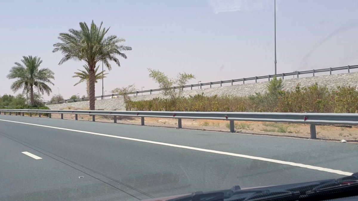 معلومات عن الفقع العين