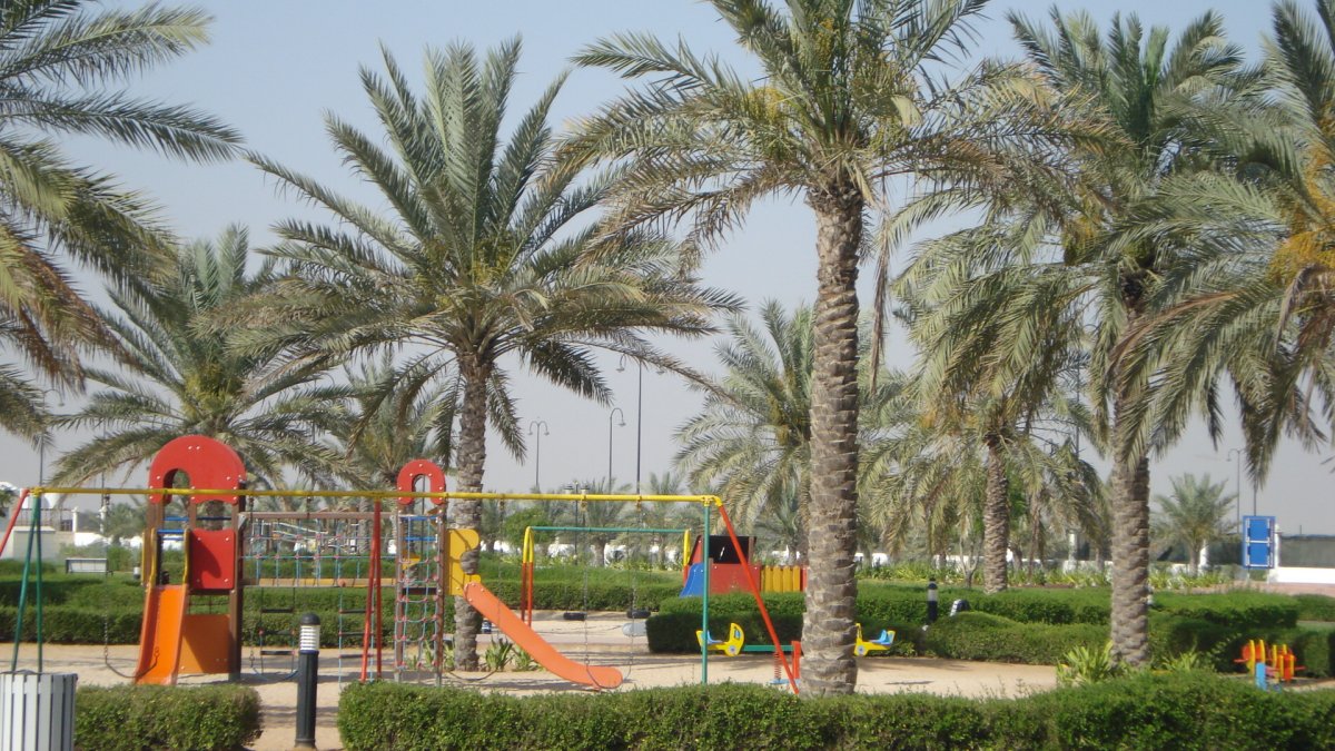 معلومات عن الزاهية عجمان