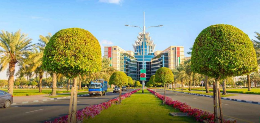معلومات عن بناية السيليكون