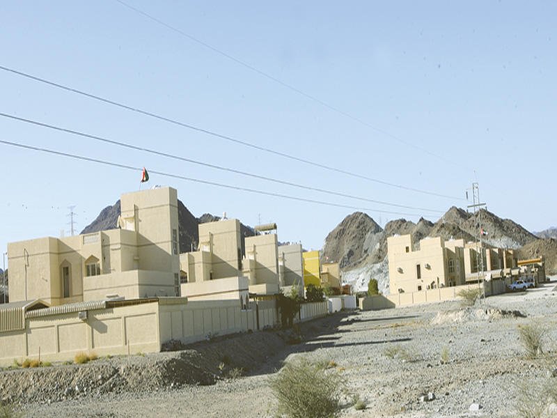 معلومات عن المنيعي