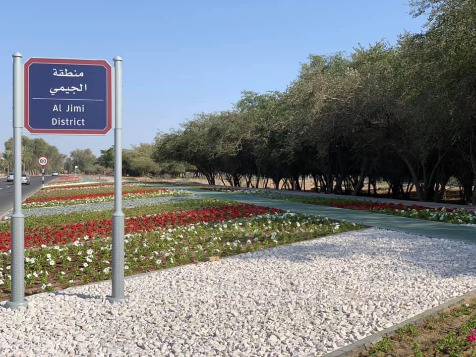 معلومات عن الجيمي