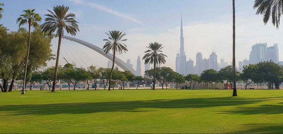 معلومات عن وادي الصفا 2
