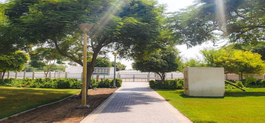 معلومات عن القوز 1
