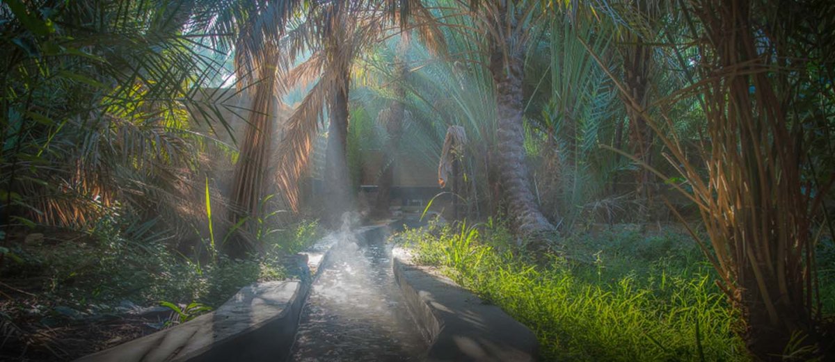 أجمل الواحات في العين‎
