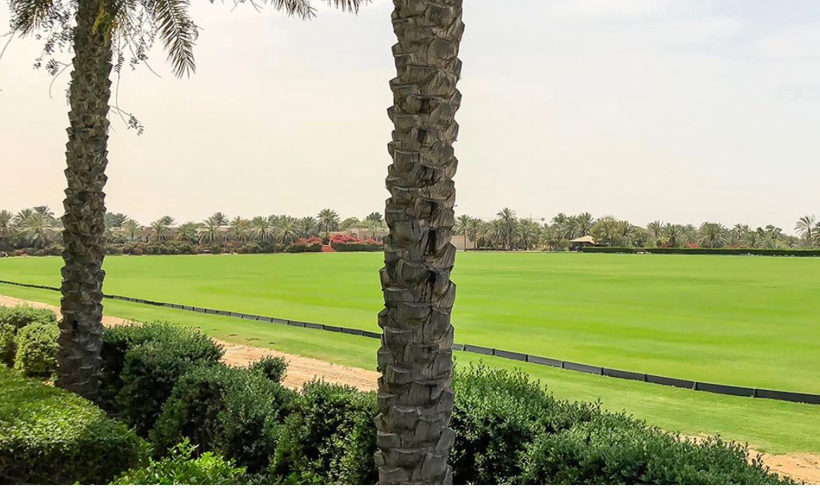 معلومات عن ورسان 3