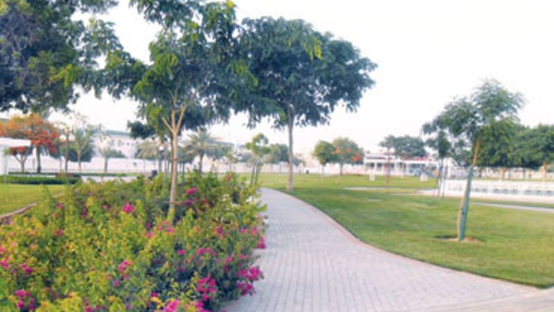 معلومات عن الشهامة الجديدة