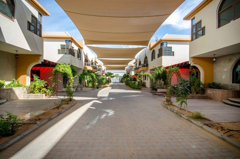 معلومات عن الطوار 1