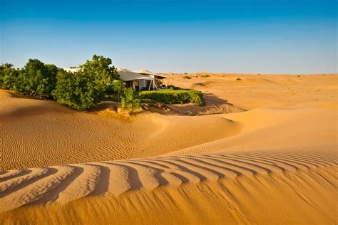 معلومات عن محمية دبي الصحراوية