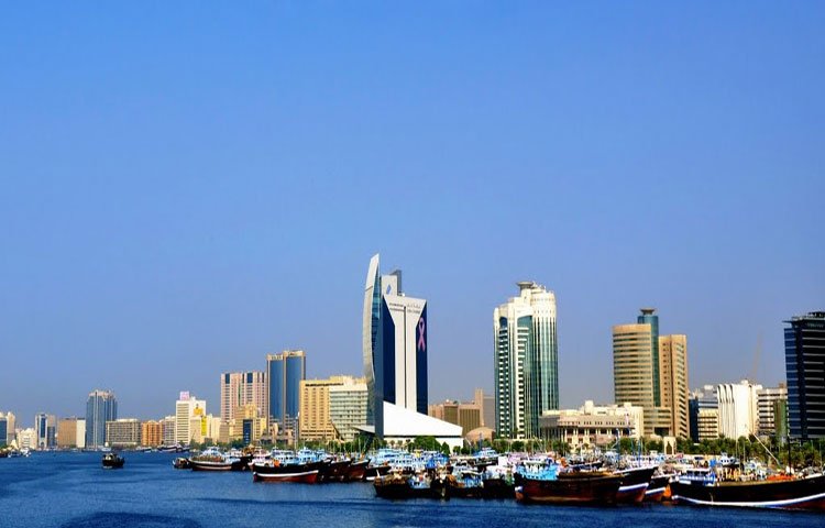 معلومات عن قرية جبل علي