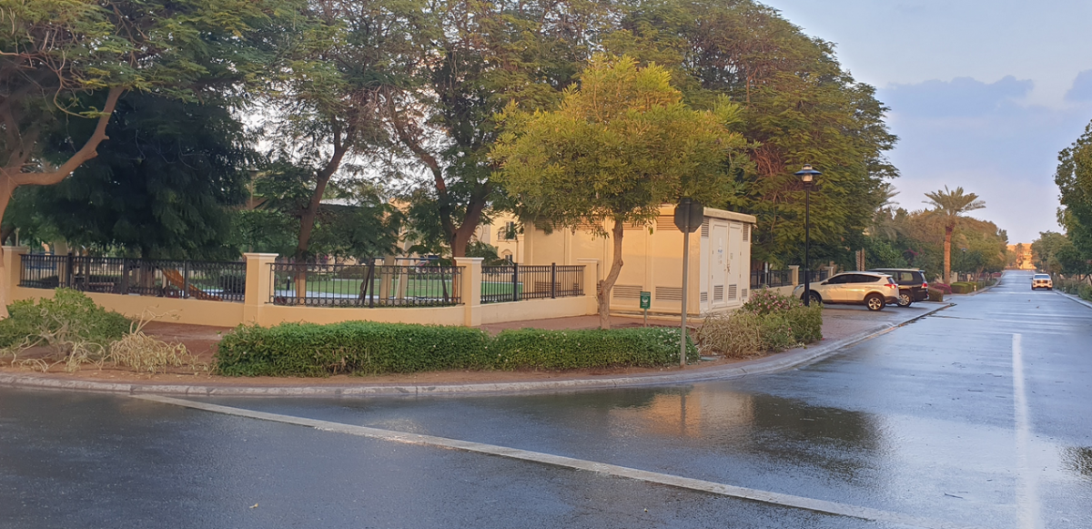 معلومات عن المهرة المرابع العربية