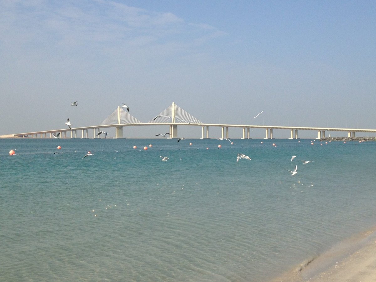 أفضل نشاطات شاطئ البطين في ابوظبي