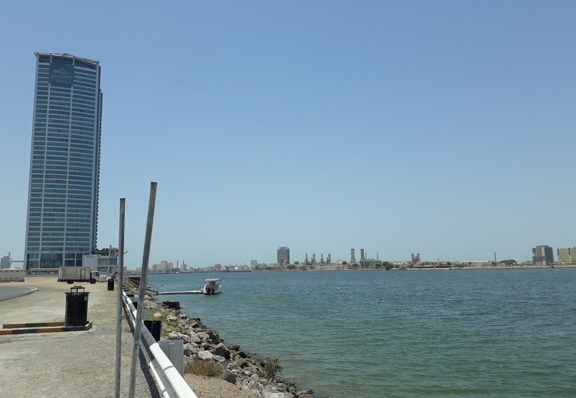 معلومات عن الشريشة