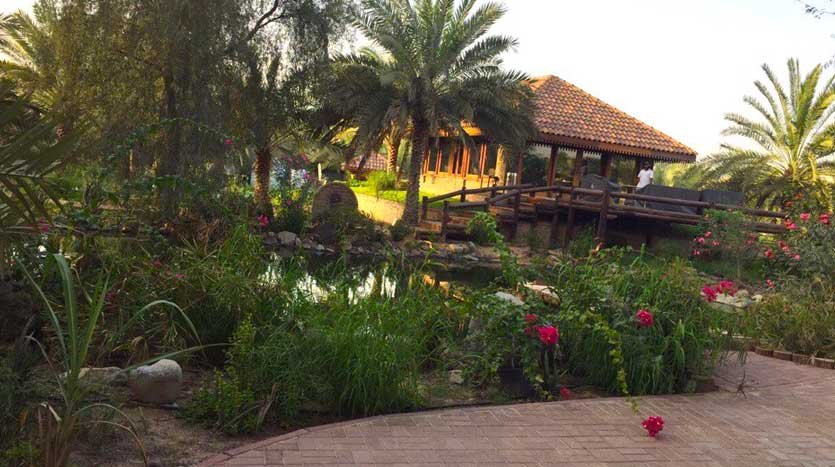 أبرز مزارع للايجار في الامارات