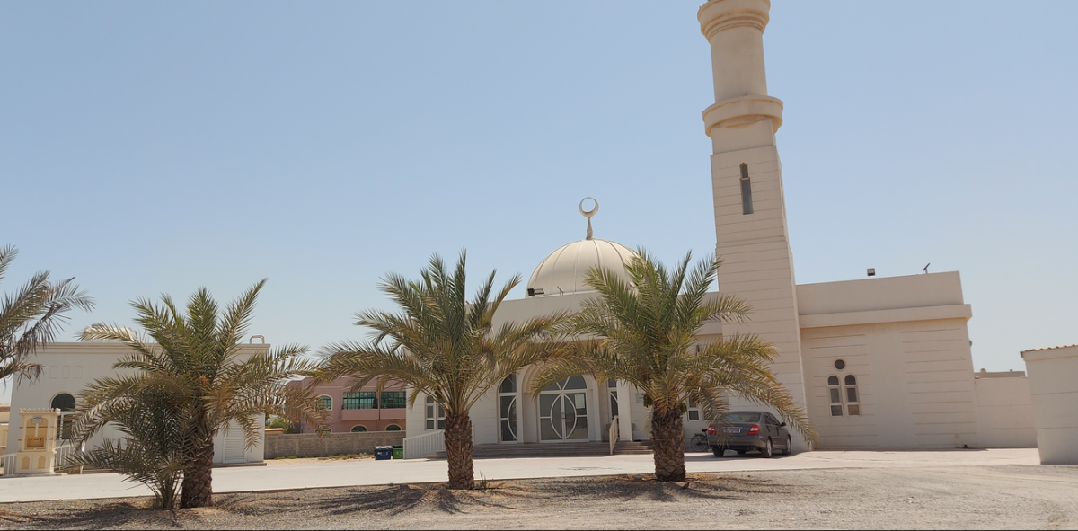 معلومات عن الياش