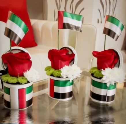 رسومات عن يوم العلم الاماراتي