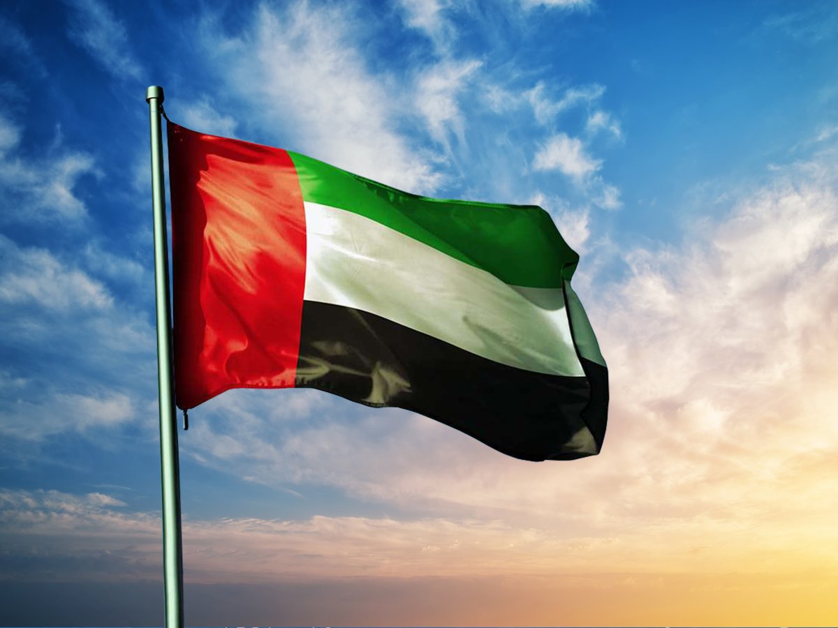افكار ليوم العلم للاطفال مميزة جدا بالصور