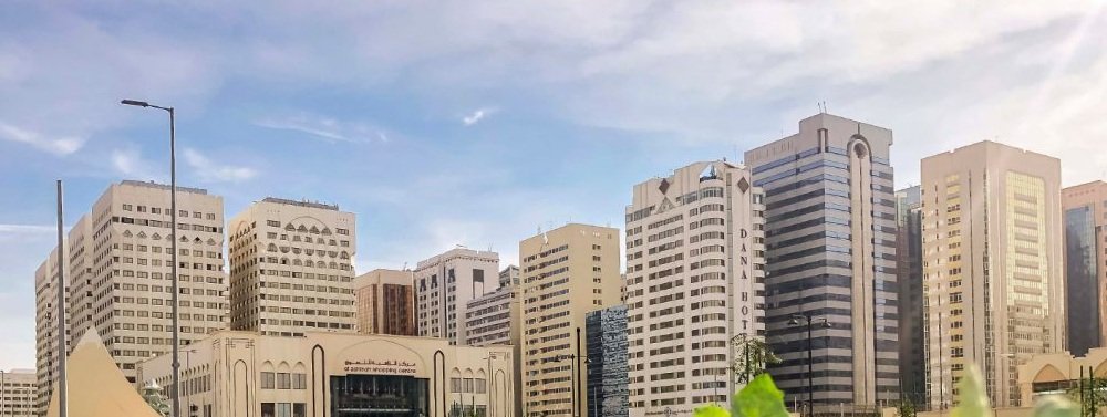 معلومات عن شارع الفردوس