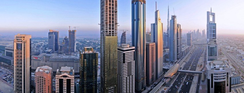 معلومات عن بريم روز