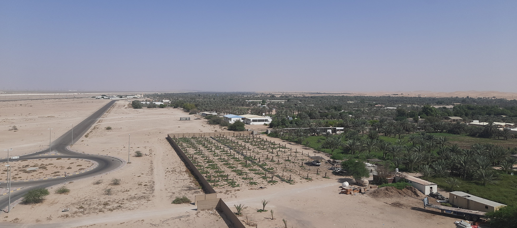معلومات عن السويحات الشارقة