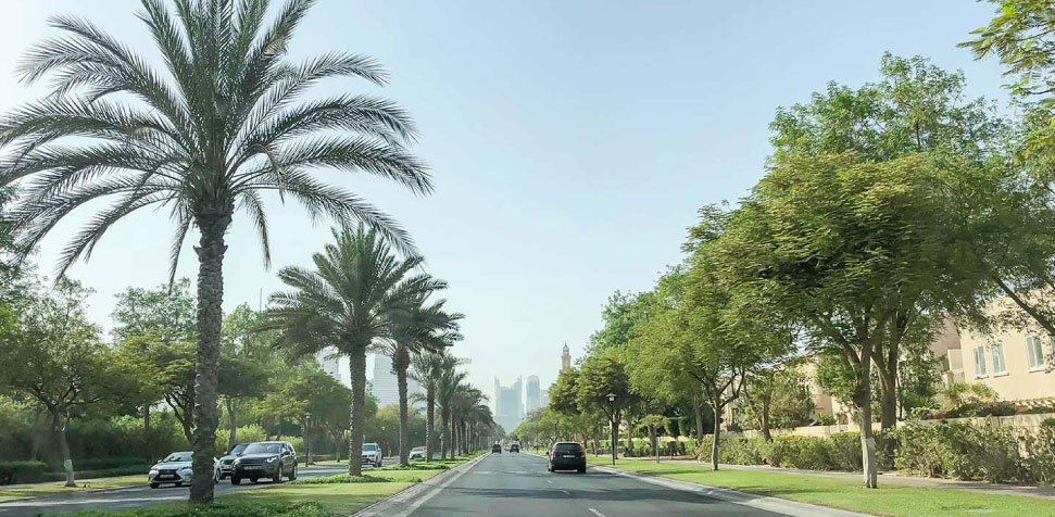 معلومات عن الينابيع 15