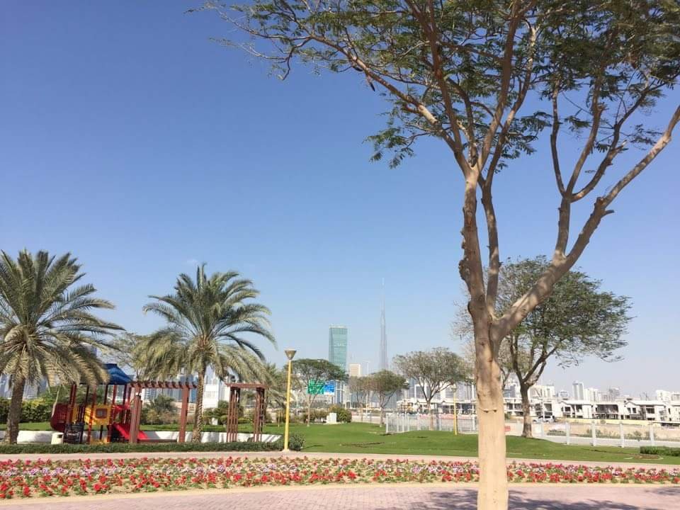 معلومات عن القوز 2