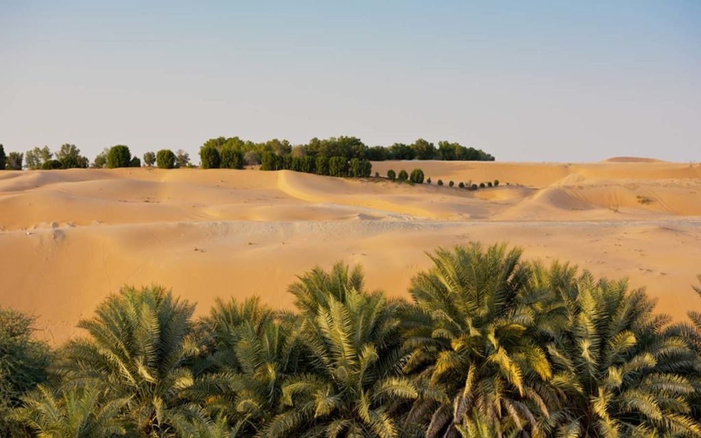 نبذة عن واحة ليوا الامارات