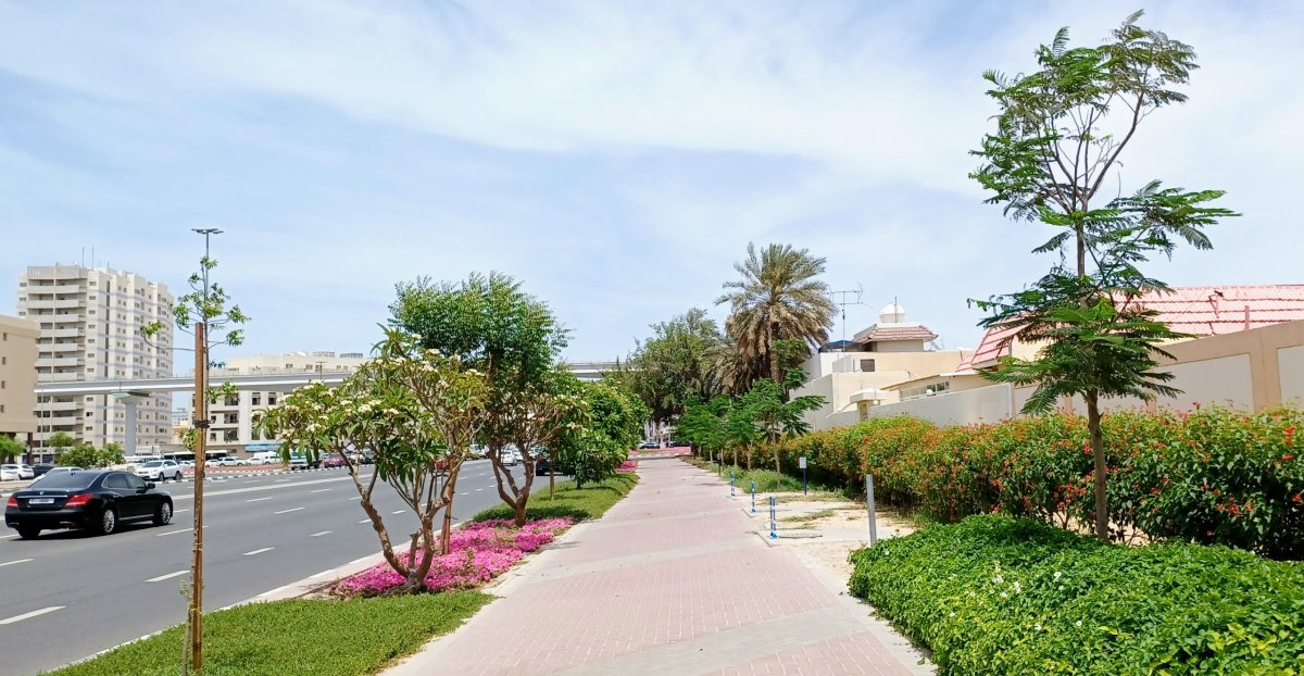 معلومات عن الطوار 2