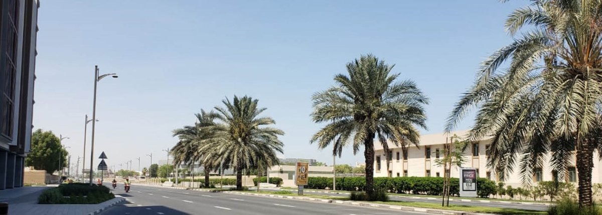 معلومات عن منطقة شارع المينا