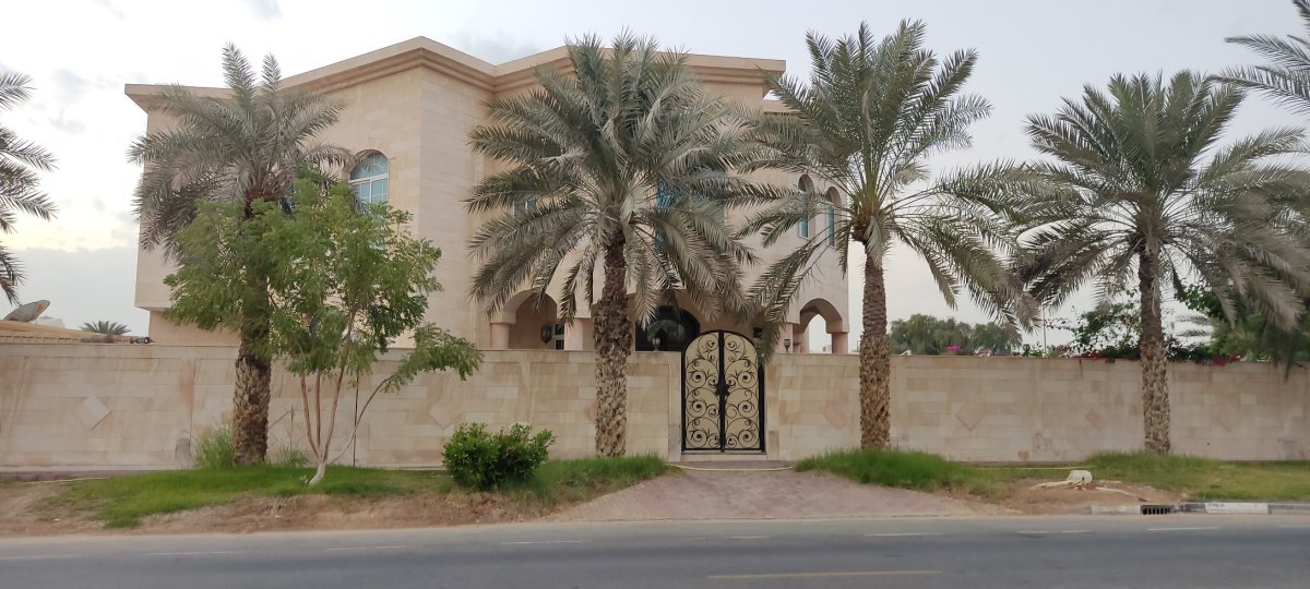 معلومات عن الطوار 3