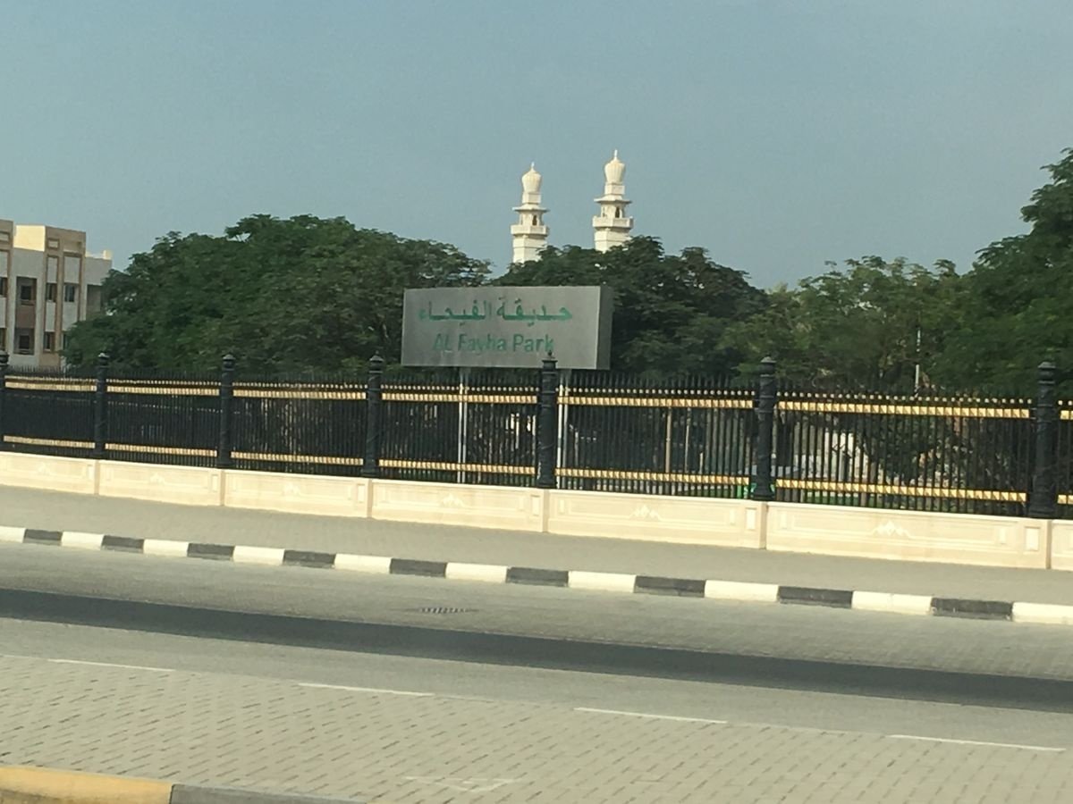 معلومات عن الفيحاء