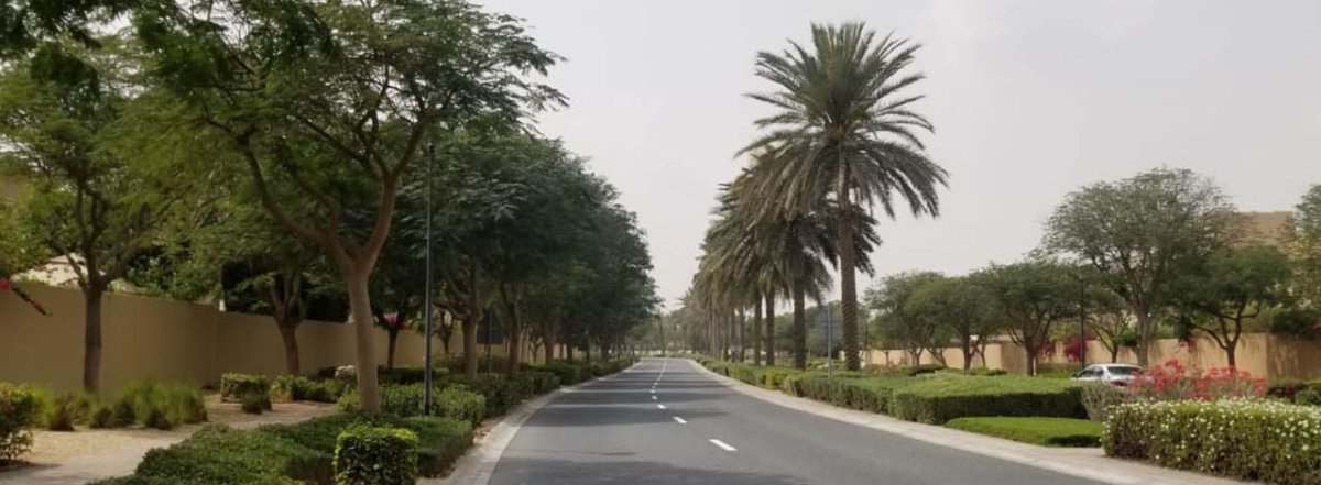 معلومات عن صهيل 2