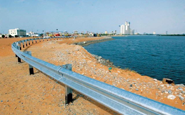 معلومات عن الرمس