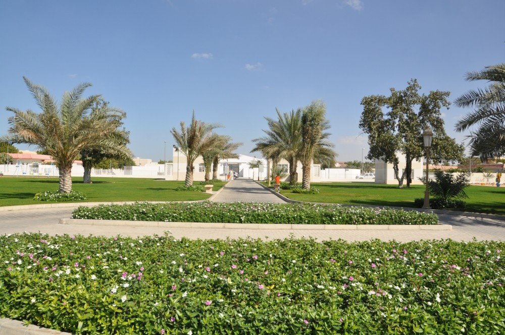 معلومات عن الدراري
