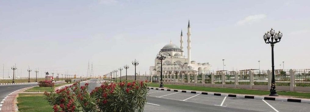 معلومات عن مدينة تلال A