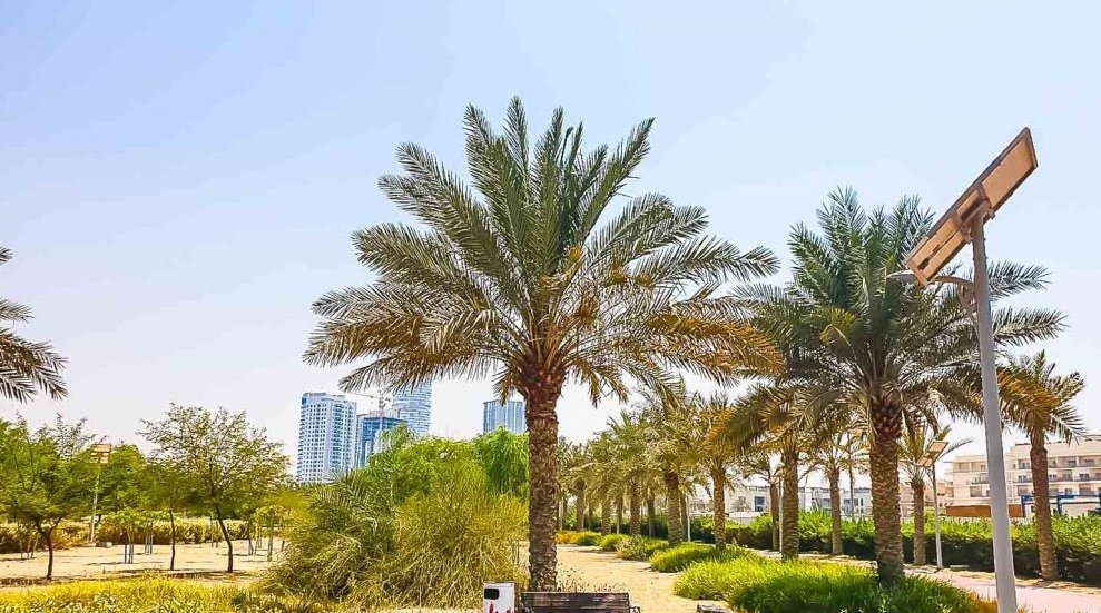 معلومات عن میرابیلا