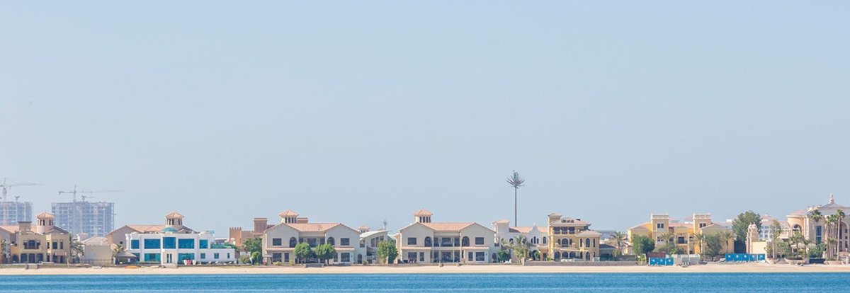 معلومات عن كانال كوف سعفة P