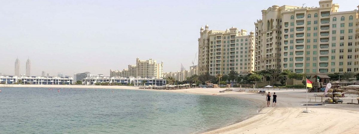 معلومات عن كانال كوف سعفة A