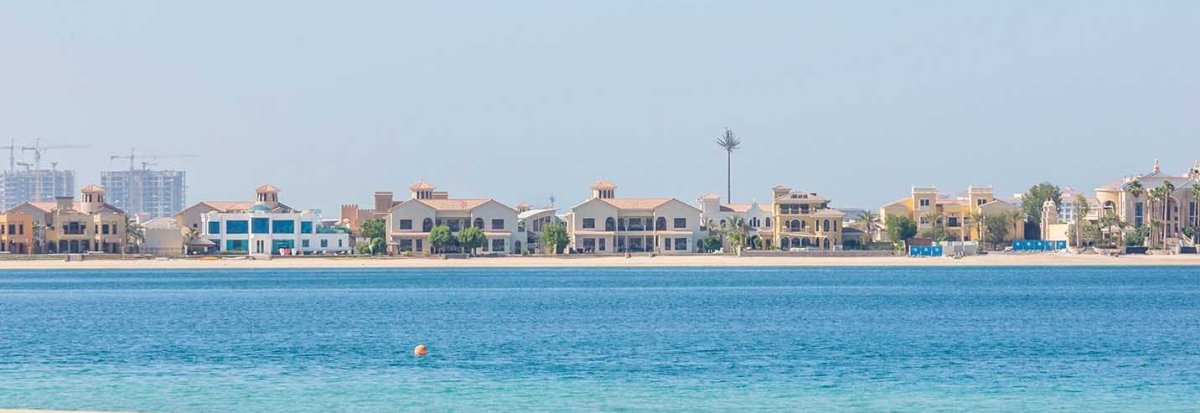 معلومات عن جاردن هومز سعفة N