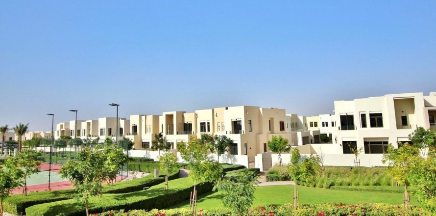 معلومات عن واحة ميرا 2