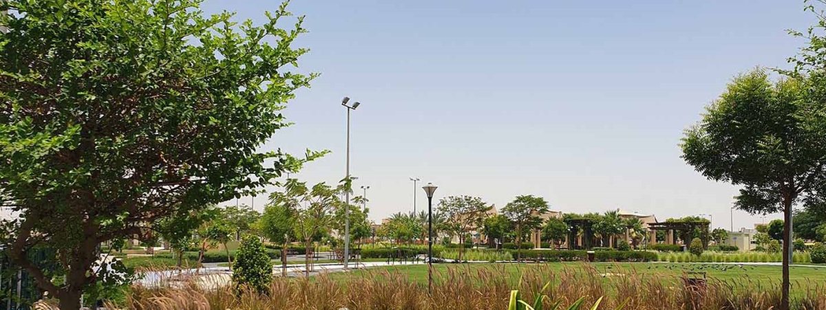 معلومات عن المنطقة 31