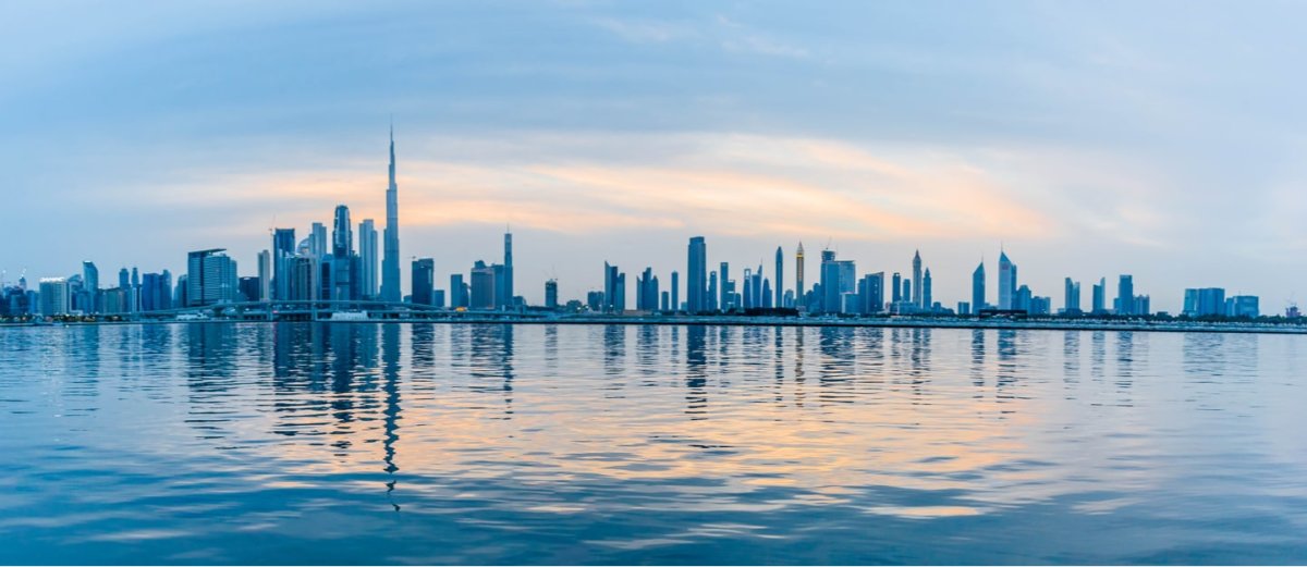 معلومات عن فيلات صحارى