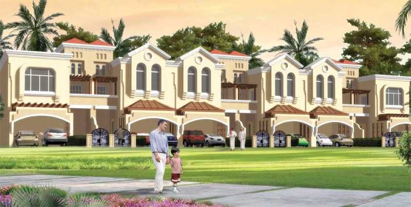 معلومات عن صحارى ميدوز
