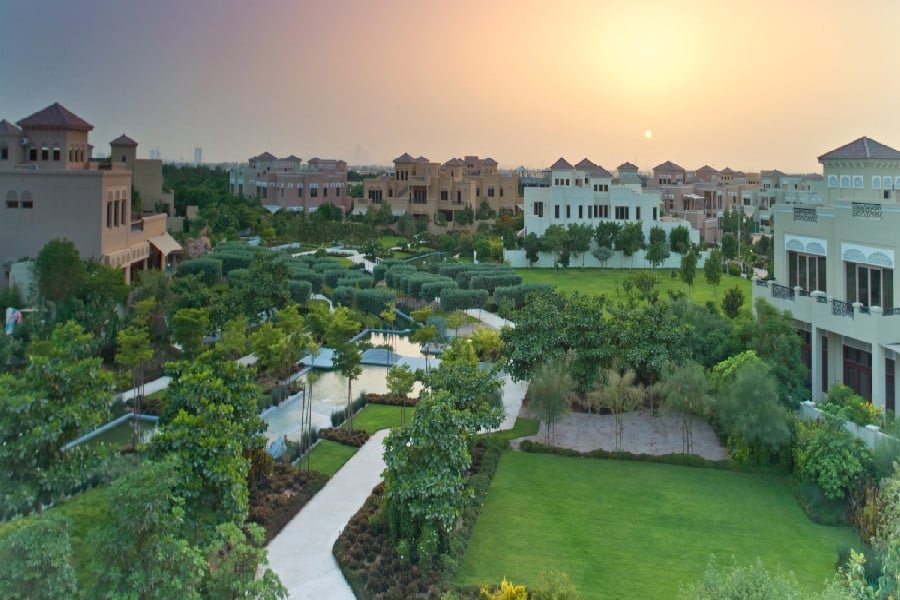 معلومات عن ديزرت ليف 5